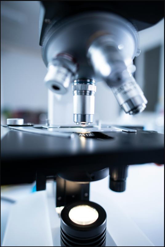 Fenbendazole scientific research and verification